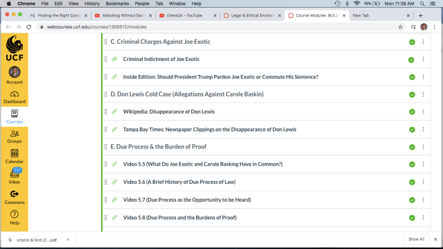 Module 5 Criminal Cases
